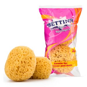 B384 Bettina 2pc Sea Sponge – Synthetic