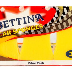 B156 Bettina 3 pc Car Sponges